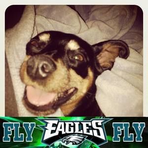 Meet your Posher, Ellen